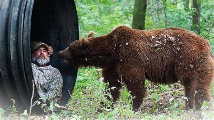 About Project Grizzly Animal Project Grizzly Animal