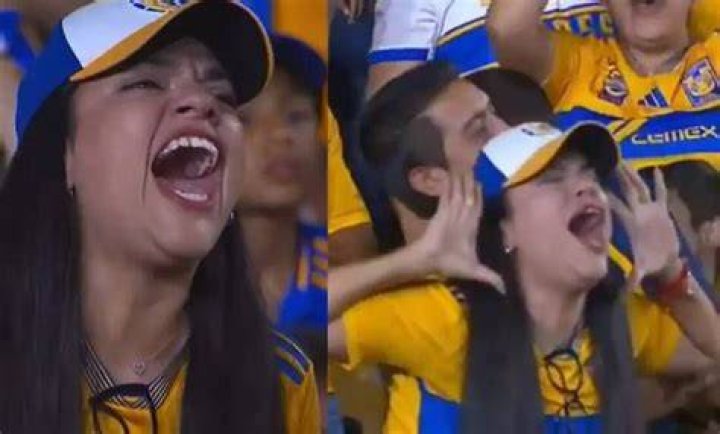 Arriba 100+ Foto Aficionada De Tigres Se Levanta La Playera Sin Censura