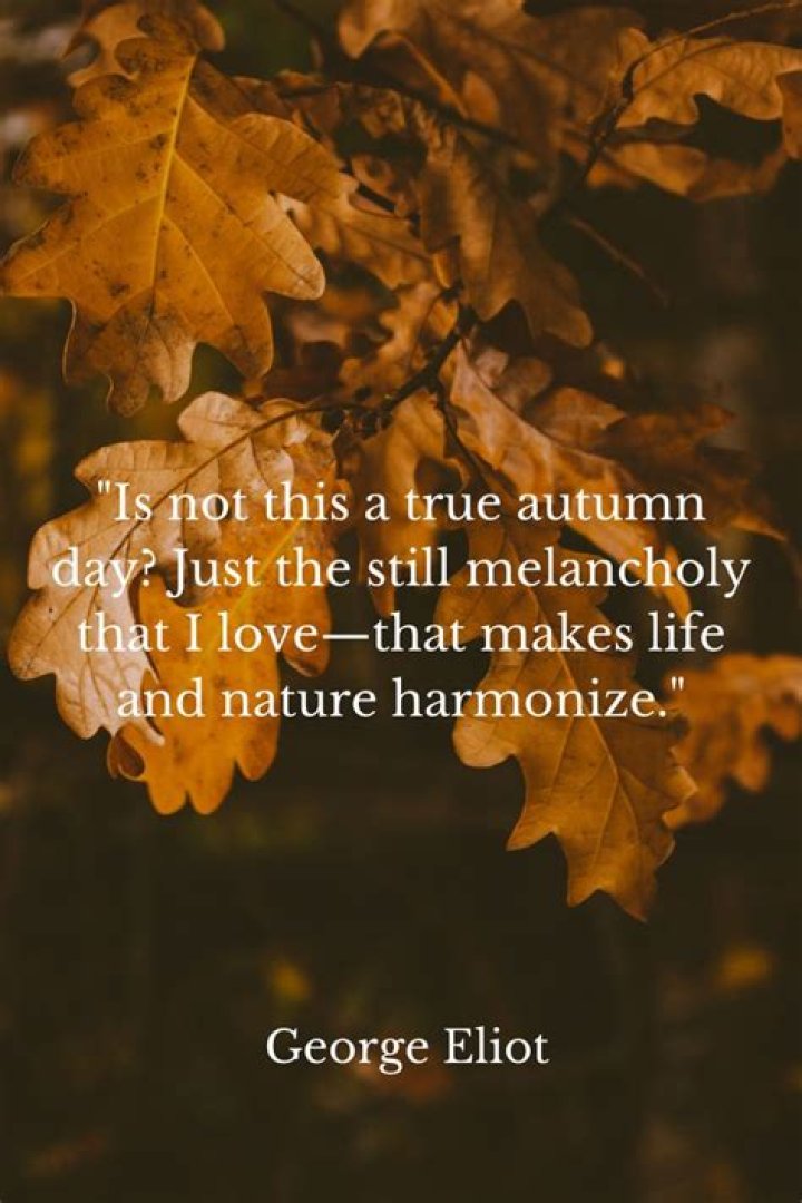 Fall Quotes George Eliot