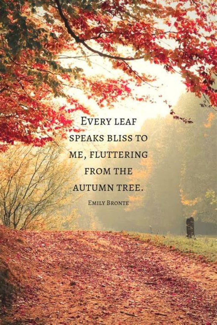 quote about fall from where the crawdads sing by delia owens