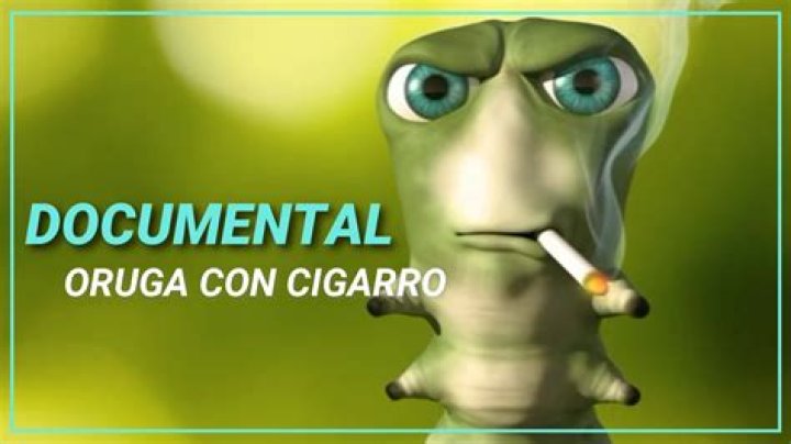 Video De La Oruga Hondureña Soy Pack Soyloruga