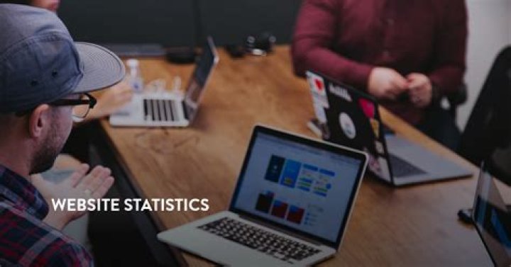 website statistics